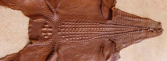 How to Spot Fake Crocodile leather Strap